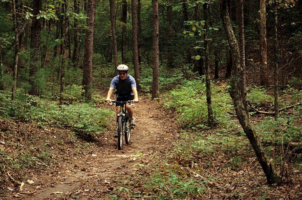 Unicoi State Park & Lodge Helen Ngoại thất bức ảnh